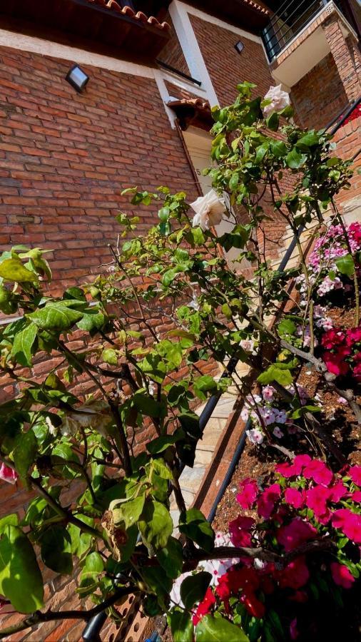 Hotel Kappa3 Villas Kanine Екстер'єр фото